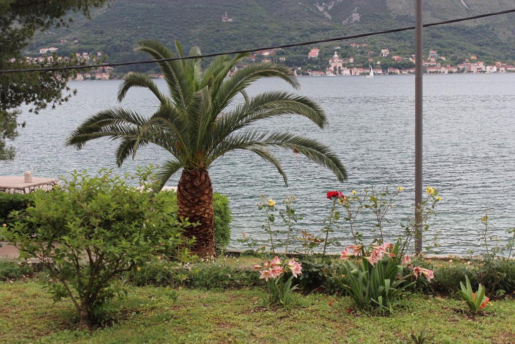 Apartments Miramar Kotor Exteriér fotografie